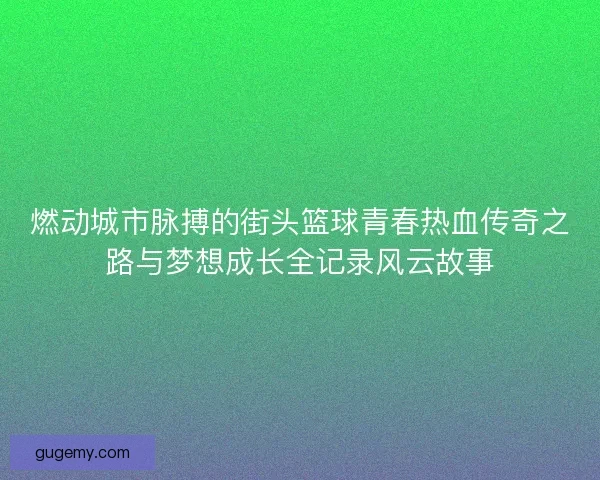 燃动城市脉搏的街头篮球青春热血传奇之路与梦想成长全记录风云故事